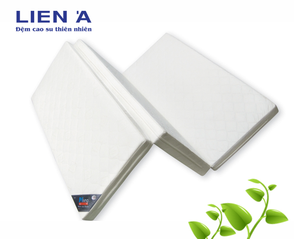 ĐỆM BÔNG ÉP LIÊN Á KHUYẾN MẠI LỚN