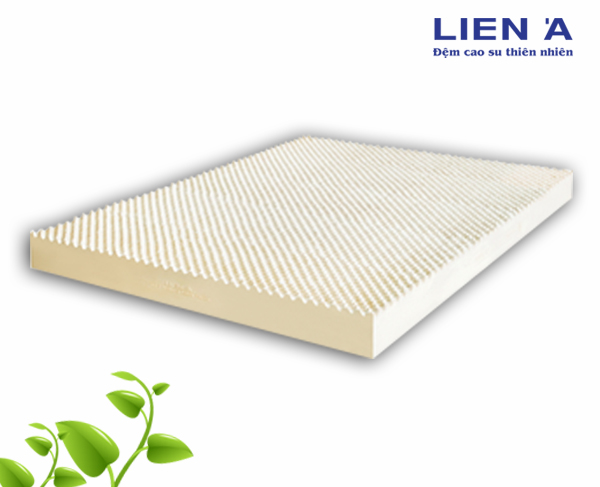Có nên sử dụng đệm cao su Liên Á không?