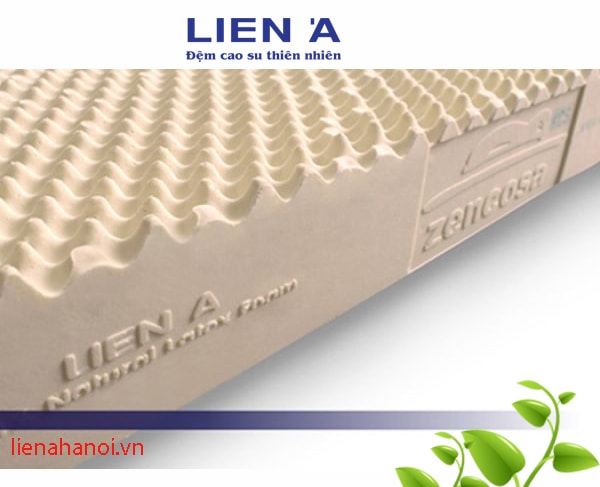 Các loại đệm cao su liên á